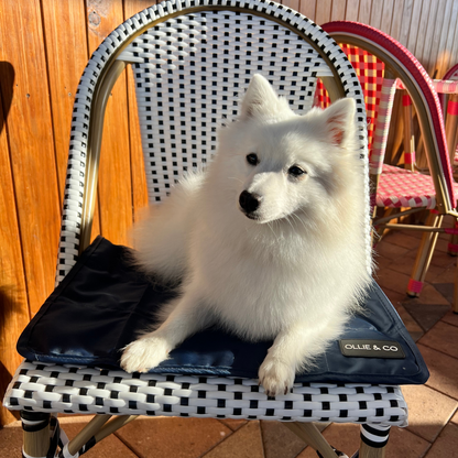The Dog Mum Bag + Doga Mat Set - Midnight Blue