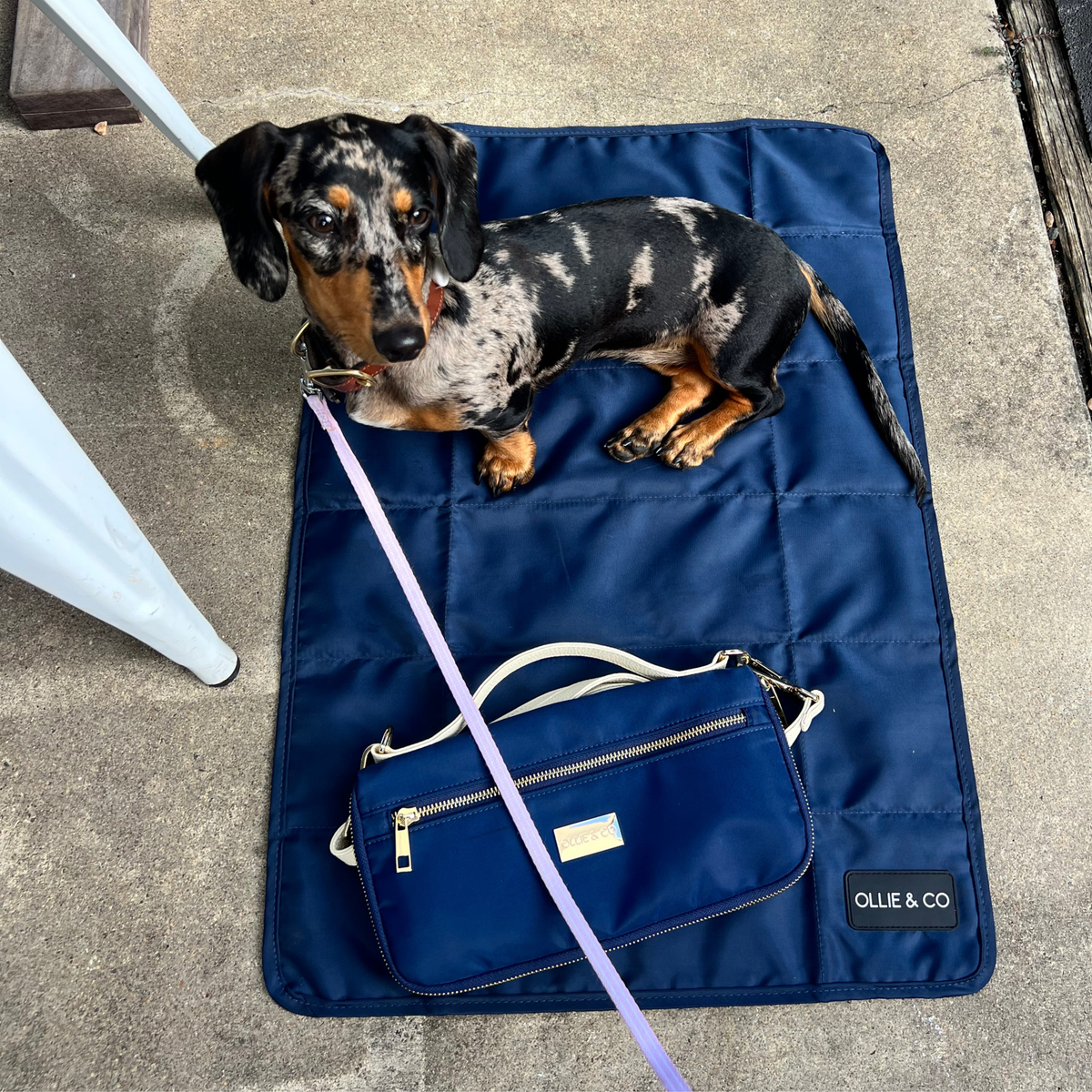 The Dog Mum Bag + Doga Mat Set - Midnight Blue