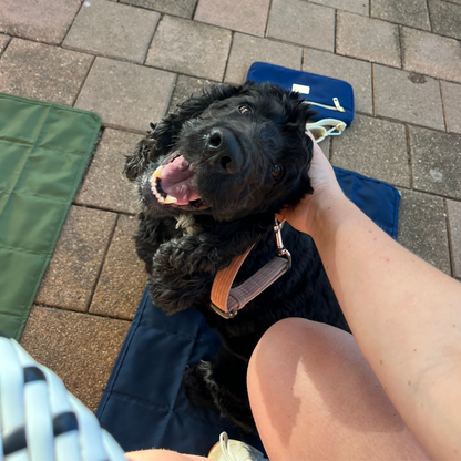 The Dog Mum Bag + Doga Mat Set - Midnight Blue