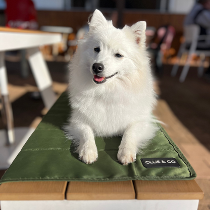 The Dog Mum Bag + Doga Mat Set - Olive