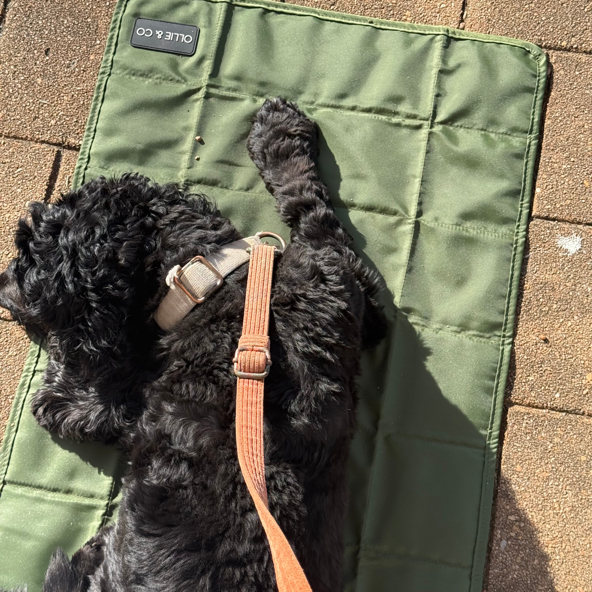 The Dog Mum Bag + Doga Mat Set - Olive