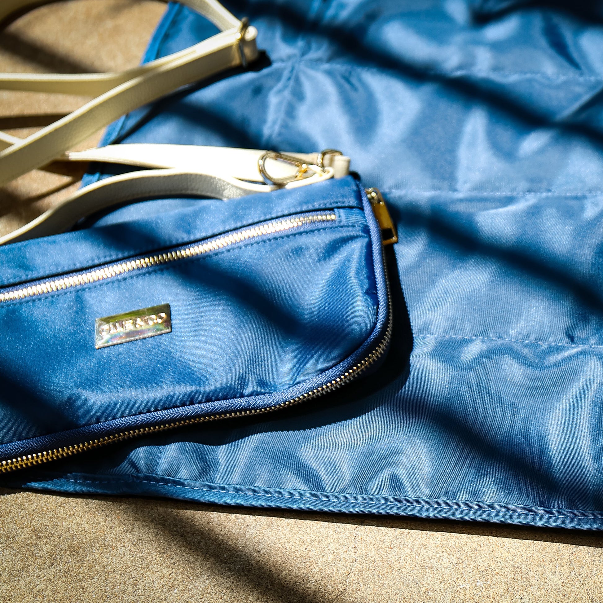 travel mat for your dog