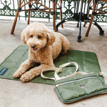 Dog lying on a green mat with a matching bag next to it in an outdoor setting.
